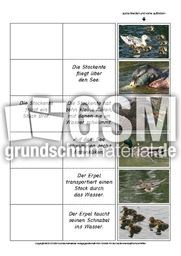 Flip-Flap-Zuordnung-Stockente-lesen 5.pdf